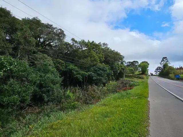 Terreno / Lote para Venda em Rio Negrinho/SC São Pedro