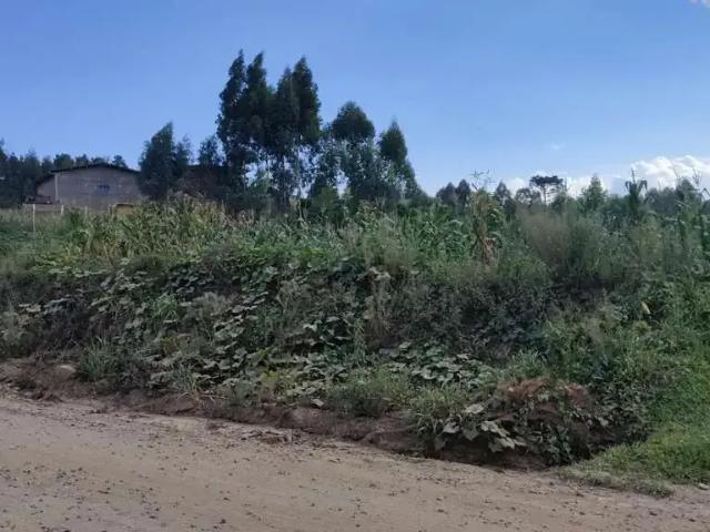 Terreno / Lote para Venda em Rio Negrinho/SC São Pedro