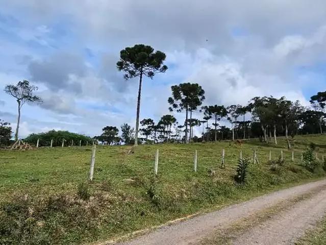 Terreno / Lote para Venda em Rio Negrinho/SC São Pedro