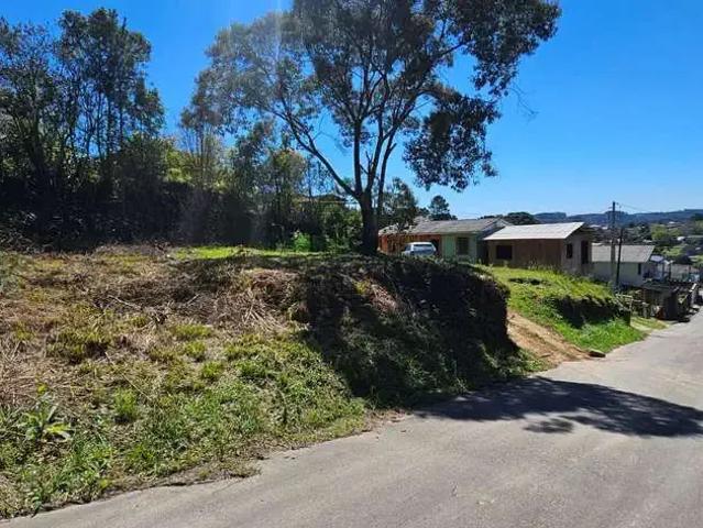 Terreno / Lote para Venda em Rio Negrinho/SC São Rafael