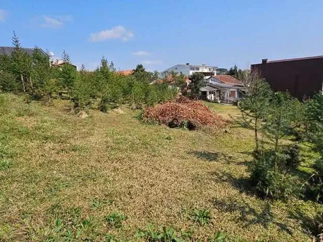 Terreno / Lote para Venda em Rio Negrinho/SC São Rafael