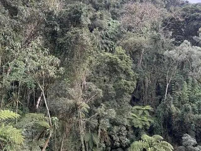 Terreno / Lote para Venda em Rio Rufino/SC Zona Rural