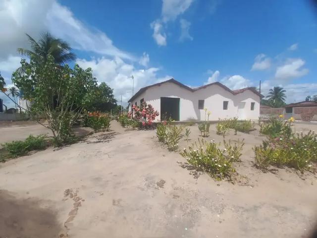 Terreno / Lote para Venda em Riachão do Poço/PB Centro