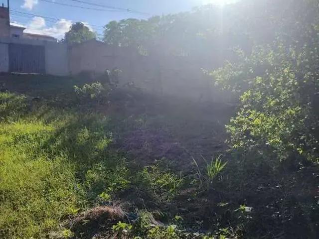 Terreno / Lote para Venda em Ribeirão das Neves/MG Vale da Prata