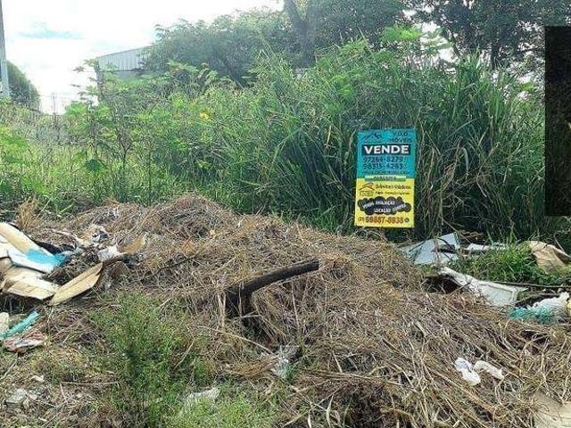 Terreno / Lote para Venda em Ribeirão das Neves/MG Veneza