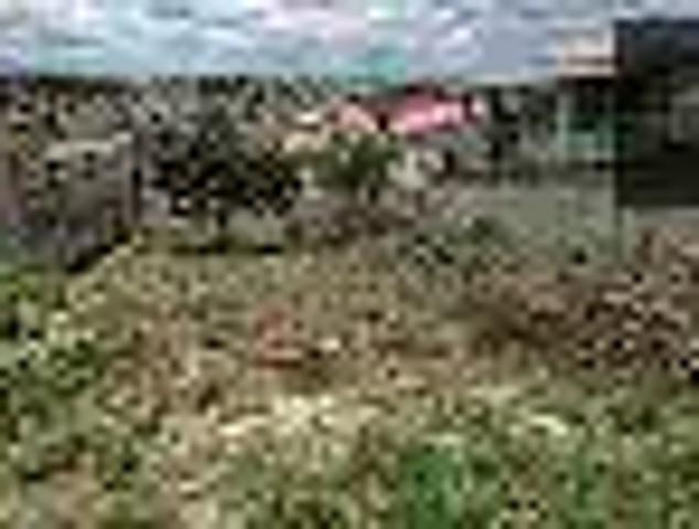 Terreno / Lote para Venda em Ribeirão das Neves/MG Veneza