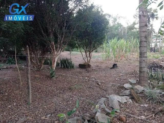 Terreno / Lote para Venda em Ribeirão das Neves/MG Areias de Baixo