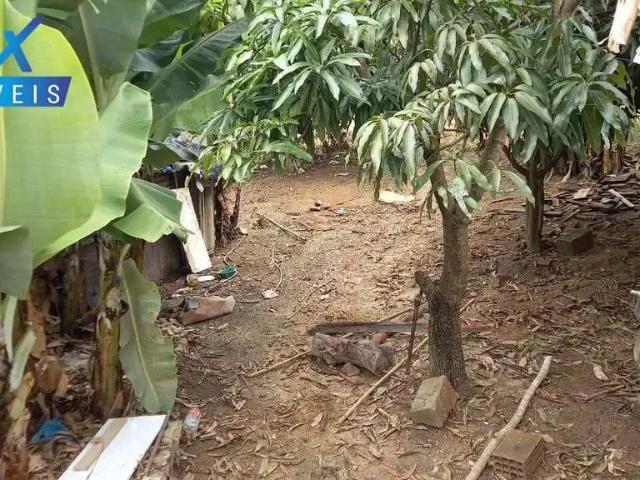 Terreno / Lote para Venda em Ribeirão das Neves/MG Fazenda Castro