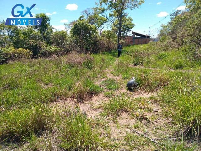 Terreno / Lote para Venda em Ribeirão das Neves/MG Florença