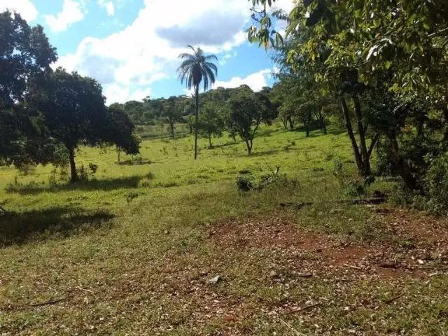 Terreno / Lote para Venda em Ribeirão das Neves/MG Girassol
