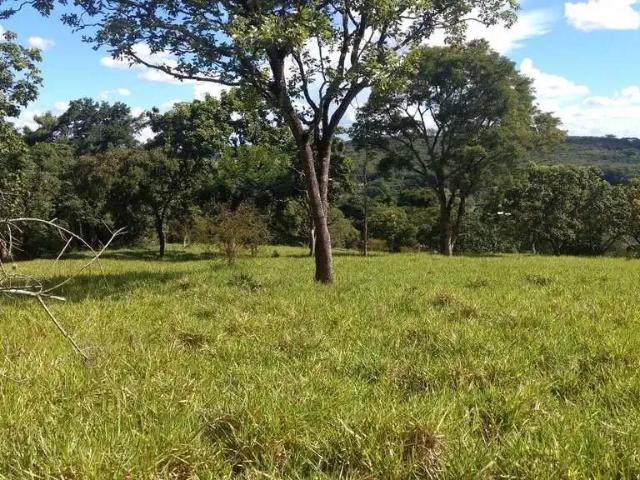 Terreno / Lote para Venda em Ribeirão das Neves/MG Jardim Colonial