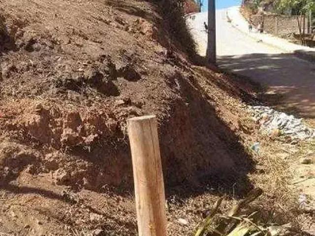 Terreno / Lote para Venda em Ribeirão das Neves/MG Rosaneves