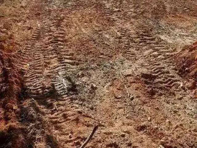 Terreno / Lote para Venda em Ribeirão das Neves/MG Santinho