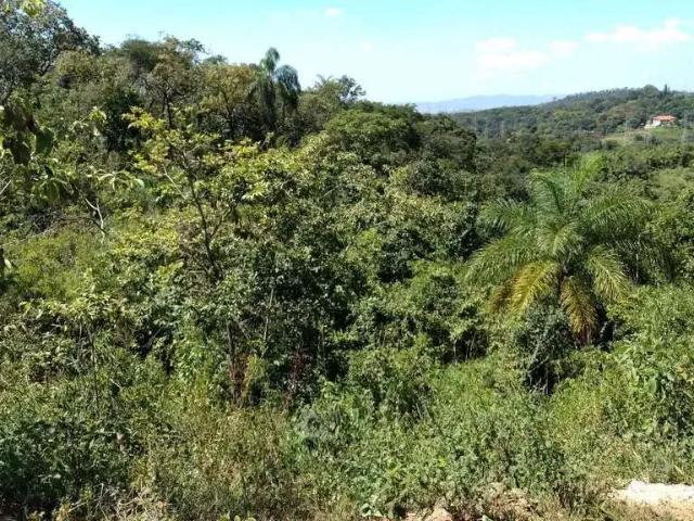 Terreno / Lote para Venda em Ribeirão das Neves/MG San Marino