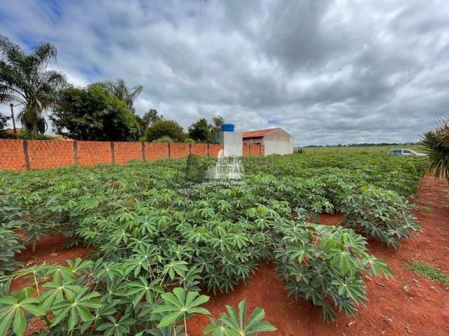Terreno / Lote para Venda em Ribeirão do Sul/SP Centro