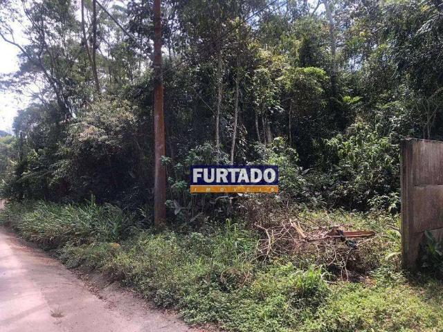 Terreno / Lote para Venda em Ribeirão Pires/SP Pouso Alegre