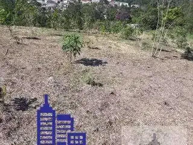 Terreno / Lote para Venda em Ribeirão Pires/SP Quarta Divisão