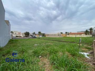 Terreno / Lote para Venda em Ribeirão Preto/SP Nova Ribeirânia