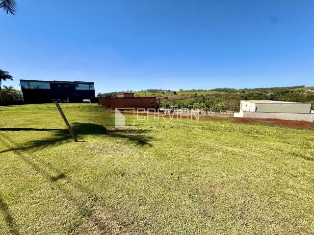 Terreno / Lote para Venda em Ribeirão Preto/SP Alphaville