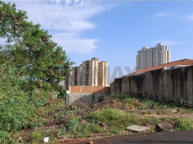 Terreno / Lote para Venda em Ribeirão Preto/SP Alto da Boa Vista