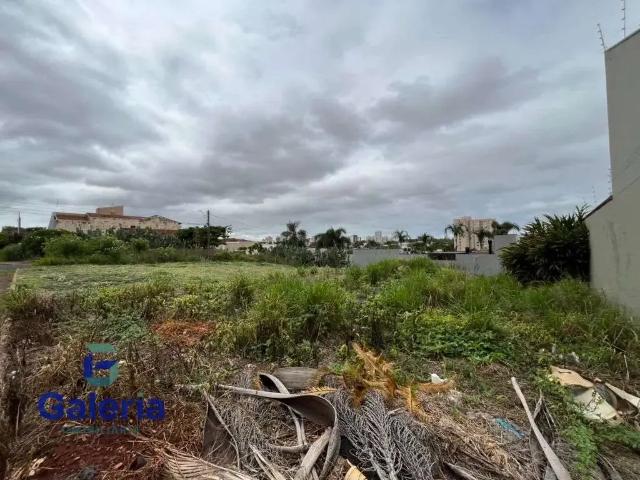 Terreno / Lote para Venda em Ribeirão Preto/SP Alto da Boa Vista