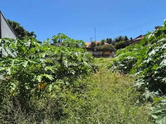 Terreno / Lote para Venda em Ribeirão Preto/SP Alto da Boa Vista