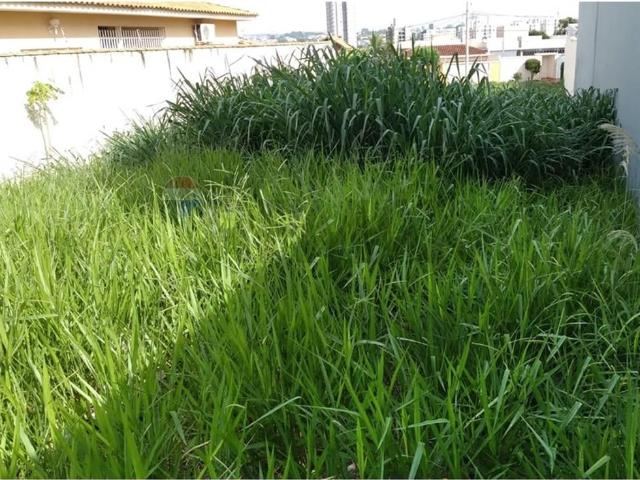 Terreno / Lote para Venda em Ribeirão Preto/SP Alto da Boa Vista