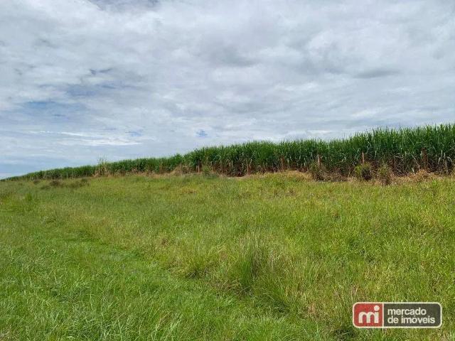 Terreno / Lote para Venda em Ribeirão Preto/SP Área Rural de Ribeirão Preto