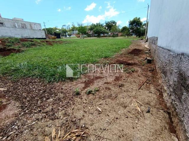 Terreno / Lote para Venda em Ribeirão Preto/SP Bonfim Paulista