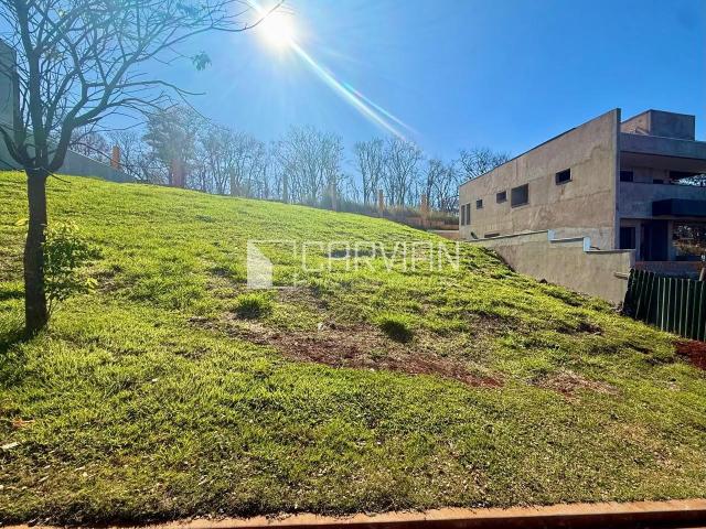 Terreno / Lote para Venda em Ribeirão Preto/SP Bonfim Paulista
