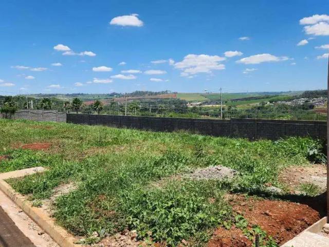 Terreno / Lote para Venda em Ribeirão Preto/SP Quinta da Primavera