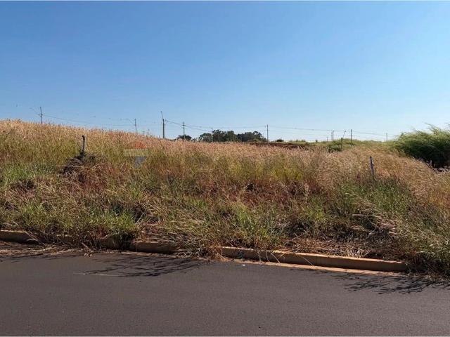 Terreno / Lote para Venda em Ribeirão Preto/SP Bonfim Paulista