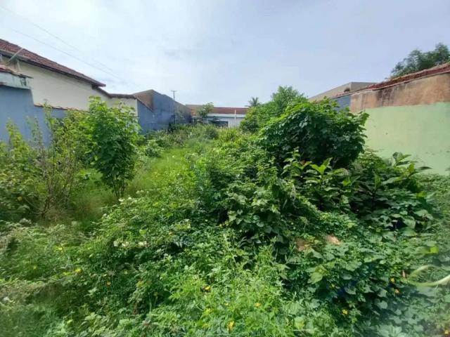 Terreno / Lote para Venda em Ribeirão Preto/SP Campos Elíseos