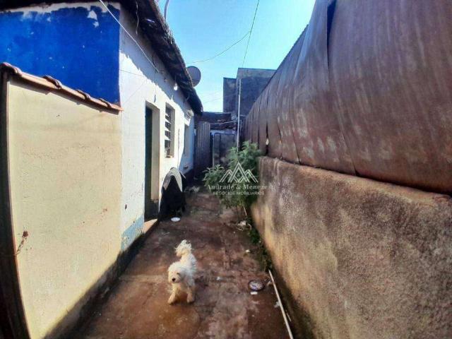 Terreno / Lote para Venda em Ribeirão Preto/SP Campos Elíseos