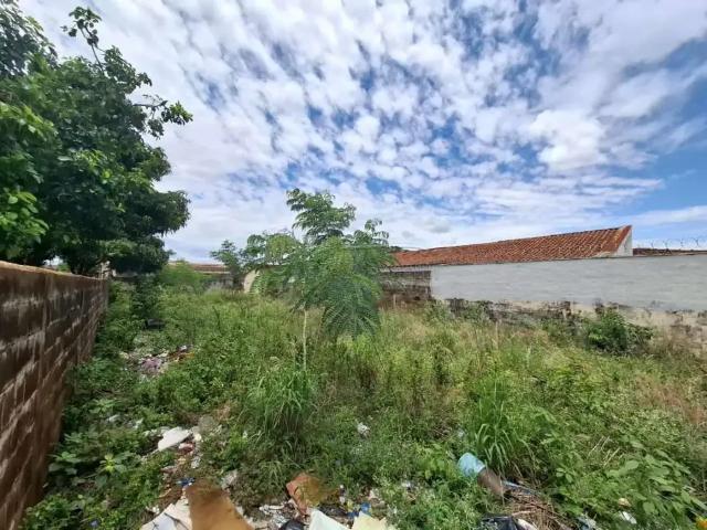 Terreno / Lote para Venda em Ribeirão Preto/SP Campos Elíseos