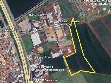 Terreno / Lote para Venda em Ribeirão Preto/SP Centro