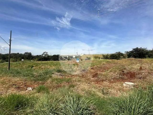 Terreno / Lote para Venda em Ribeirão Preto/SP City Ribeirão