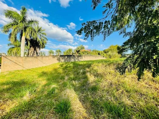 Terreno / Lote para Venda em Ribeirão Preto/SP City Ribeirão