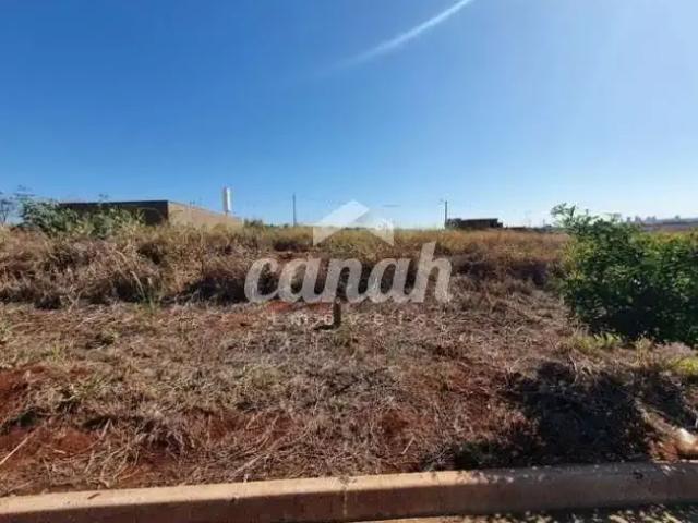 Terreno / Lote para Venda em Ribeirão Preto/SP Conjunto Residencial José Said Sobrinho