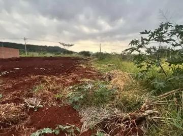 Terreno / Lote para Venda em Ribeirão Preto/SP Fazenda Santa Rita do Picadão