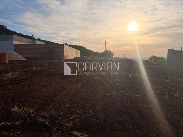 Terreno / Lote para Venda em Ribeirão Preto/SP Fazenda Santa Rita do Picadão