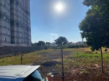 Terreno / Lote para Venda em Ribeirão Preto/SP Ipiranga