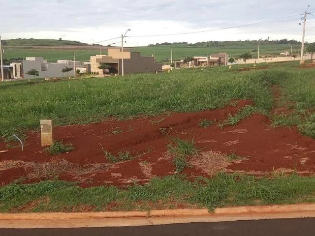 Terreno / Lote para Venda em Ribeirão Preto/SP Jardim Zinato