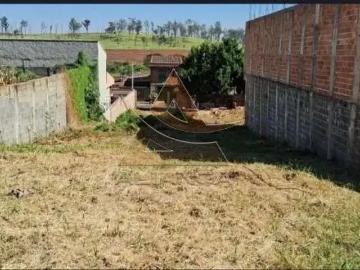 Terreno / Lote para Venda em Ribeirão Preto/SP Jardim Bela Vista