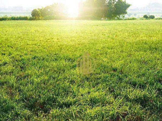 Terreno / Lote para Venda em Ribeirão Preto/SP Jardim Botânico