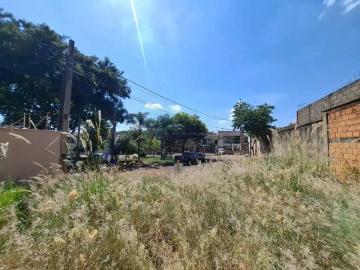 Terreno / Lote para Venda em Ribeirão Preto/SP Jardim Botânico
