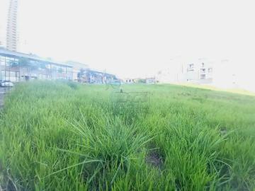 Terreno / Lote para Venda em Ribeirão Preto/SP Jardim Botânico