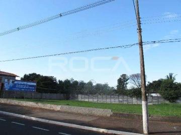 Terreno / Lote para Venda em Ribeirão Preto/SP Jardim Canadá