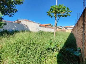 Terreno / Lote para Venda em Ribeirão Preto/SP Jardim Califórnia