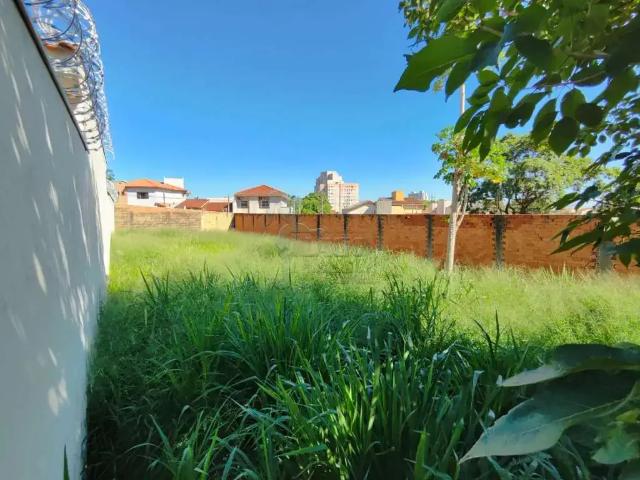 Terreno / Lote para Venda em Ribeirão Preto/SP Jardim Califórnia